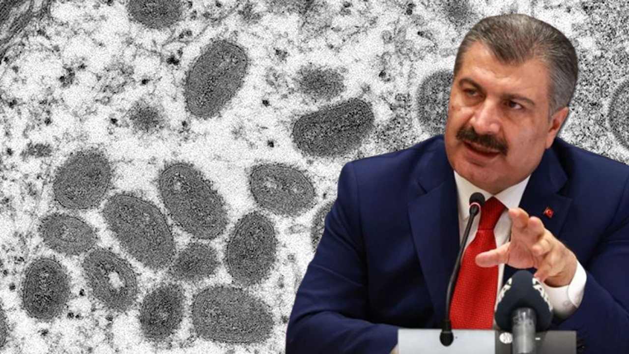 Maymun çiçeği virüsü hakkında bilinmeyenler. Maymun çiçeği virüsünün belirtileri ortaya çıktı. Türkiye’de Maymun Çiçeği virüsü görüldü mü? Sağlık Bakanı Fahrettin Koca'dan flaş açıklama
