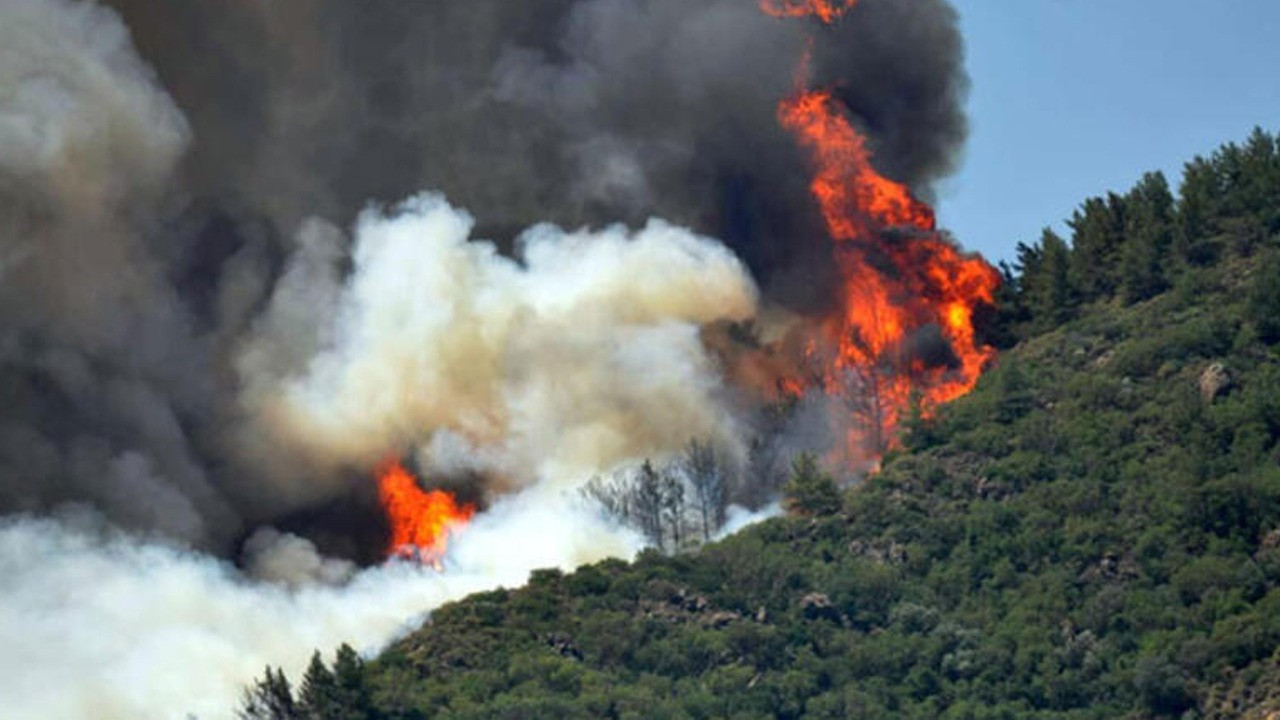 Marmaris'teki orman yangını 4. gününde! Evlerde tahliye başladı: Havadan ve karadan müdahale sürüyor