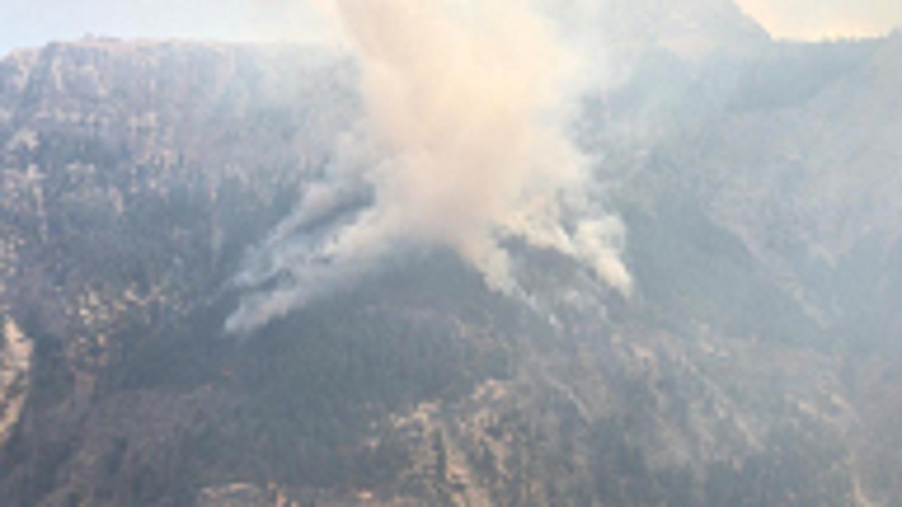 Mersin'de orman yangını! Yangına havadan ve karadan müdahaleye başlandı